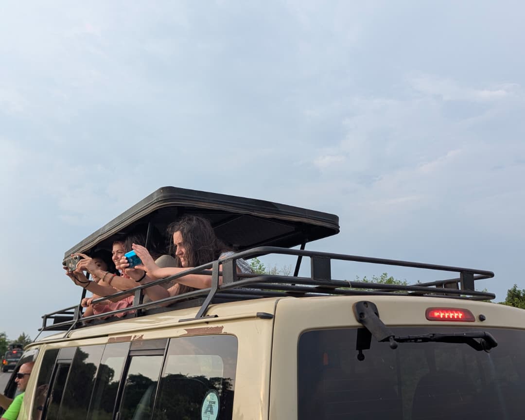 How Much Does a Gorilla Permit Cost in Uganda