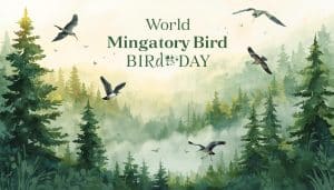 World Migratory Bird Day