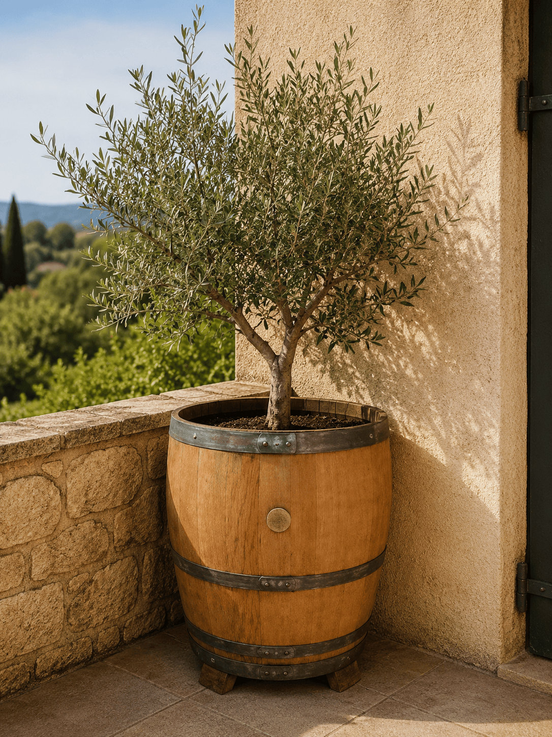 Jardinière Tonneau Arbuste