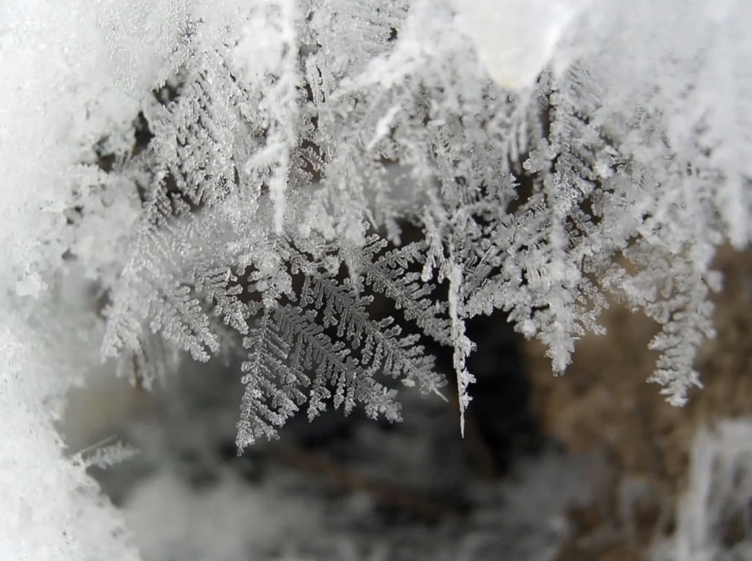 picture of a snowflake