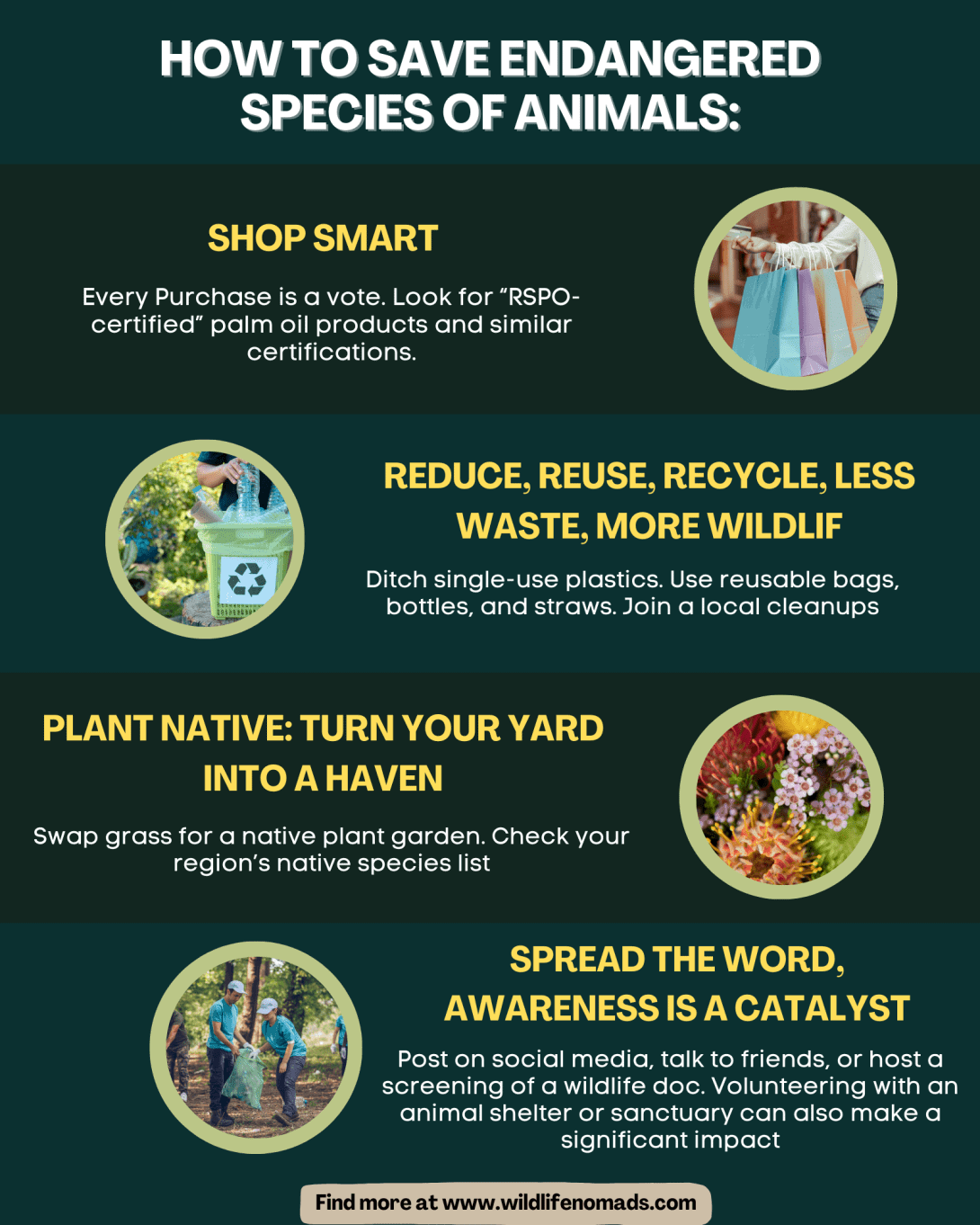How to Protect Endangered Birds
