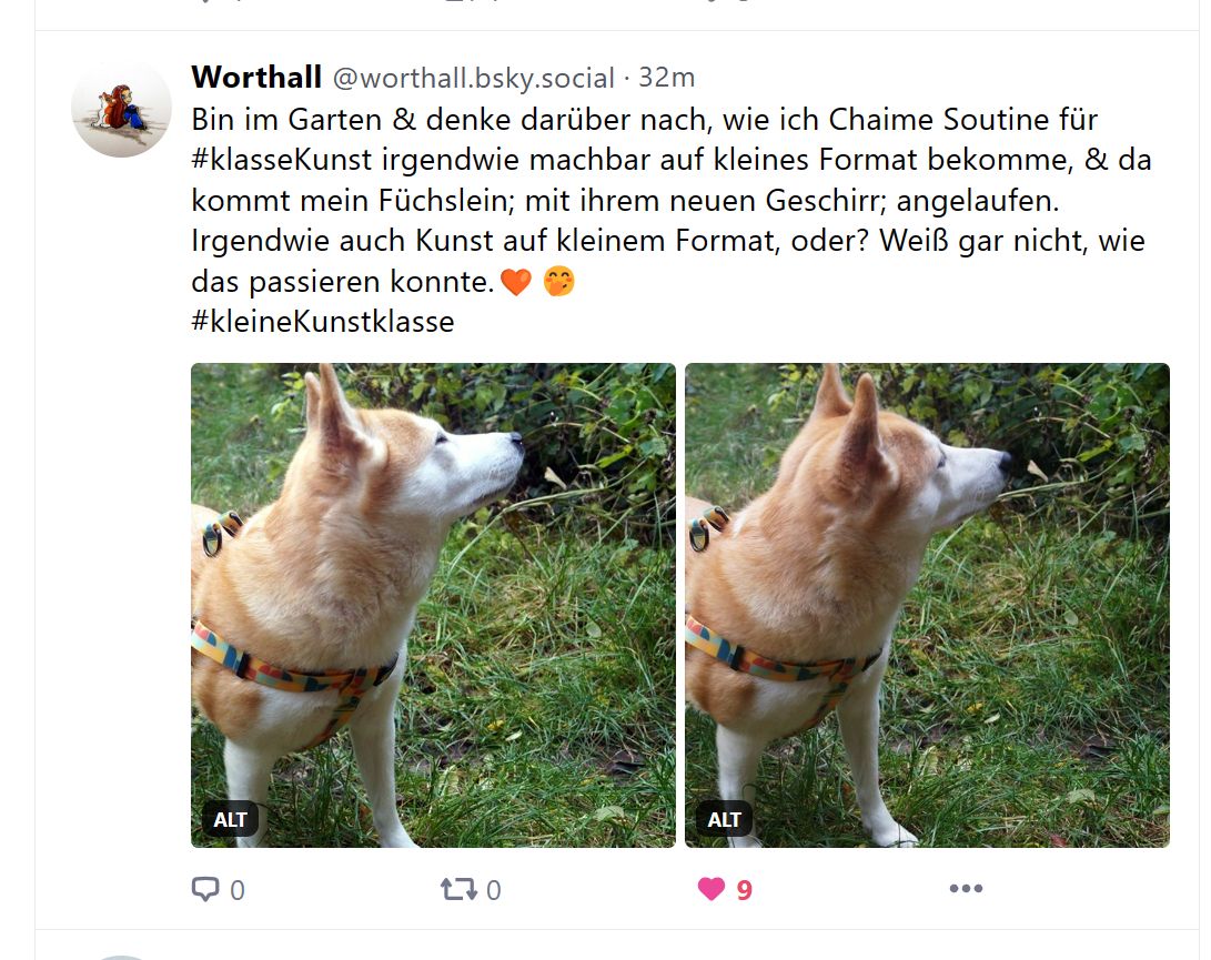 Bluesky: Liken, Teilen, Kommentieren - geht alles (Screenshot)