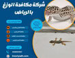 شركة مكافحة الوزغ بالرياض