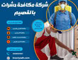 شركة مكافحة حشرات بالقصيم