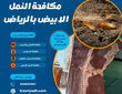 شركة مكافحة النمل الابيض بالرياض 