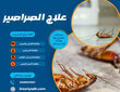 علاج الصراصير