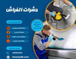 حشرات الفراش