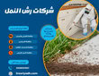 شركات رش النمل