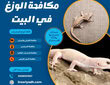مكافحة الوزغ في البيت