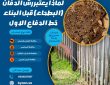 لماذا يعتبر رش الدفان (البطحاء) قبل البناء خط الدفاع الأول عن أساسات فلتك؟