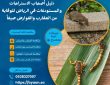 دليل أصحاب الاستراحات والمستودعات في الرياض للوقاية من العقارب والقوارض صيفاً