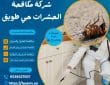 شركة مكافحة الحشرات حي طويق