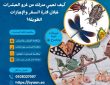 كيف تحمي منزلك من غزو الحشرات خلال فترة السفر والإجازات الطويلة؟