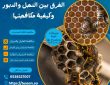 الفرق بين النحل والدبور وكيفية مكافحتها