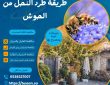 طريقة طرد النحل من الحوش