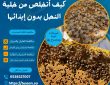 كيف أتخلص من خلية النحل بدون إيذائها