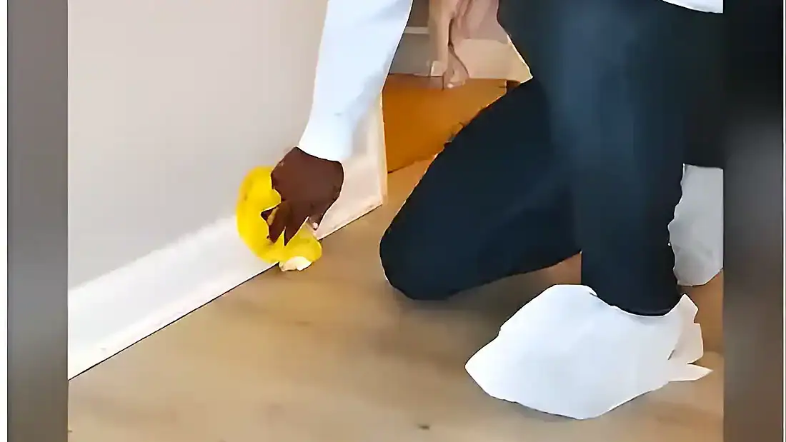 Professional house cleaning service in Mount Pleasant South Carolina