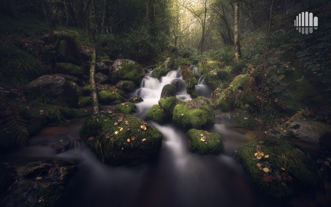 Fotografía del curso de Snapseed 4.0, de Antonio Prado