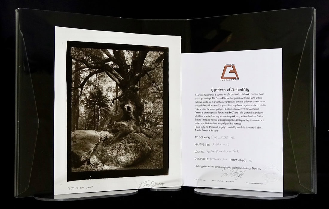 21-book-folio-image-1-web_orig