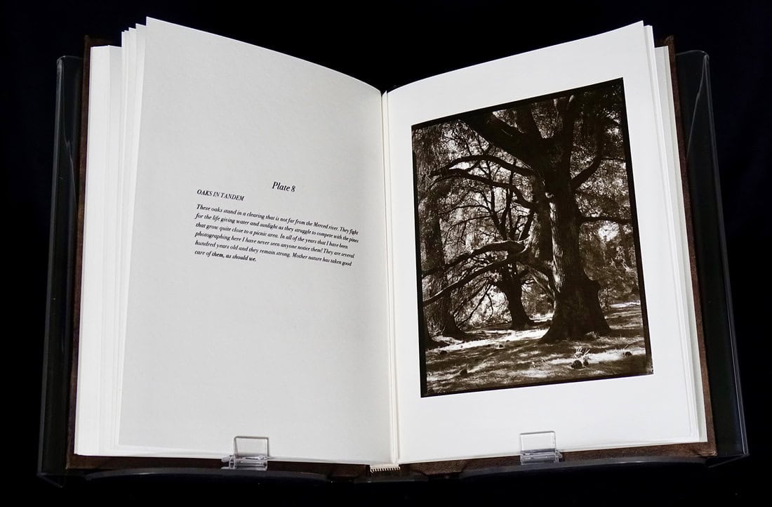16-book-page-8-web_orig