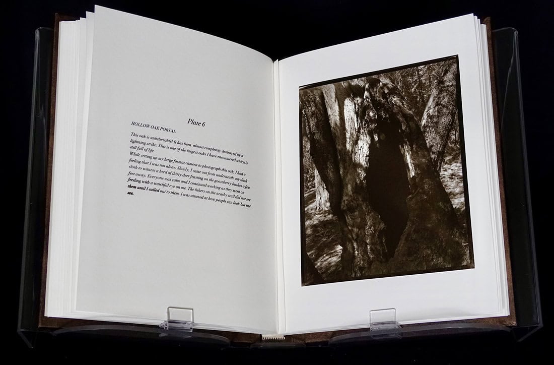 14-book-page-6-web_orig