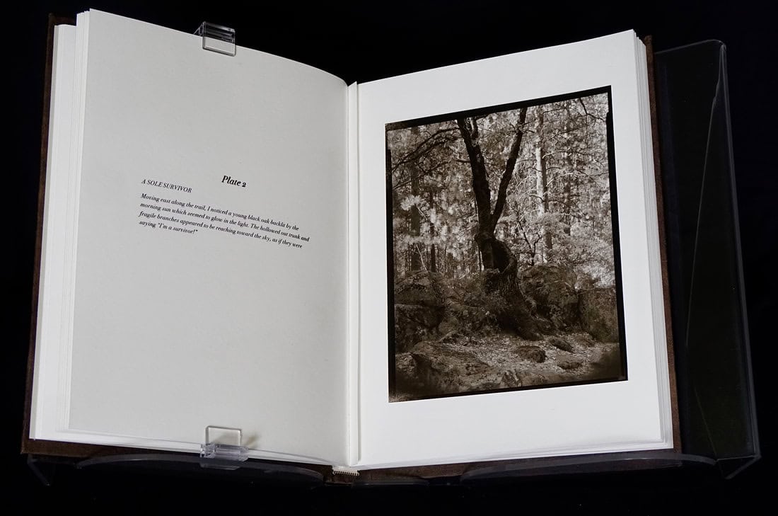 10-book-page-2-web_orig