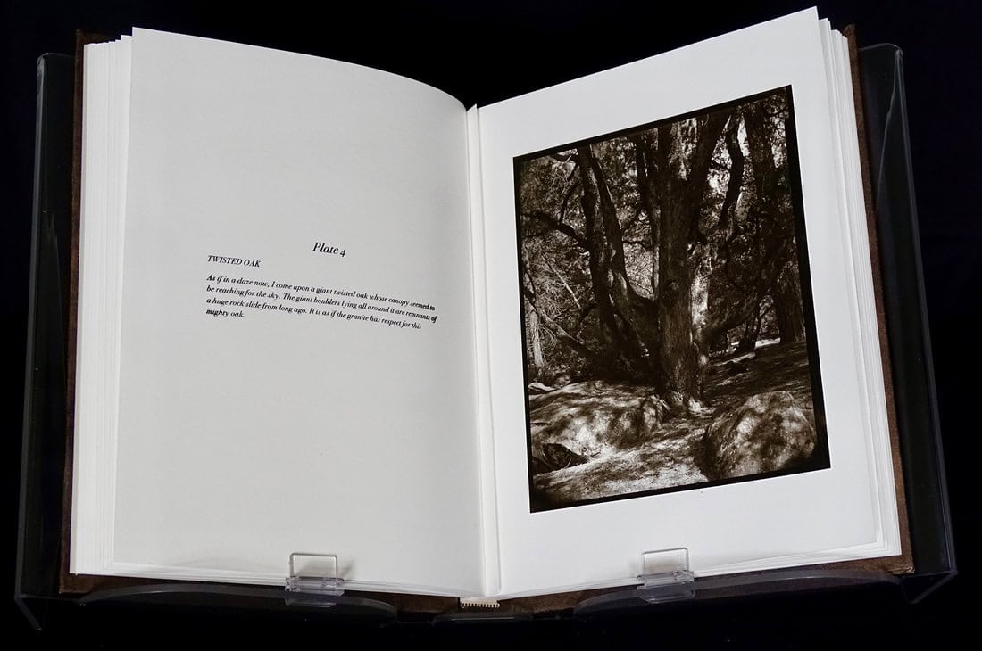 12-book-page-4-web_orig
