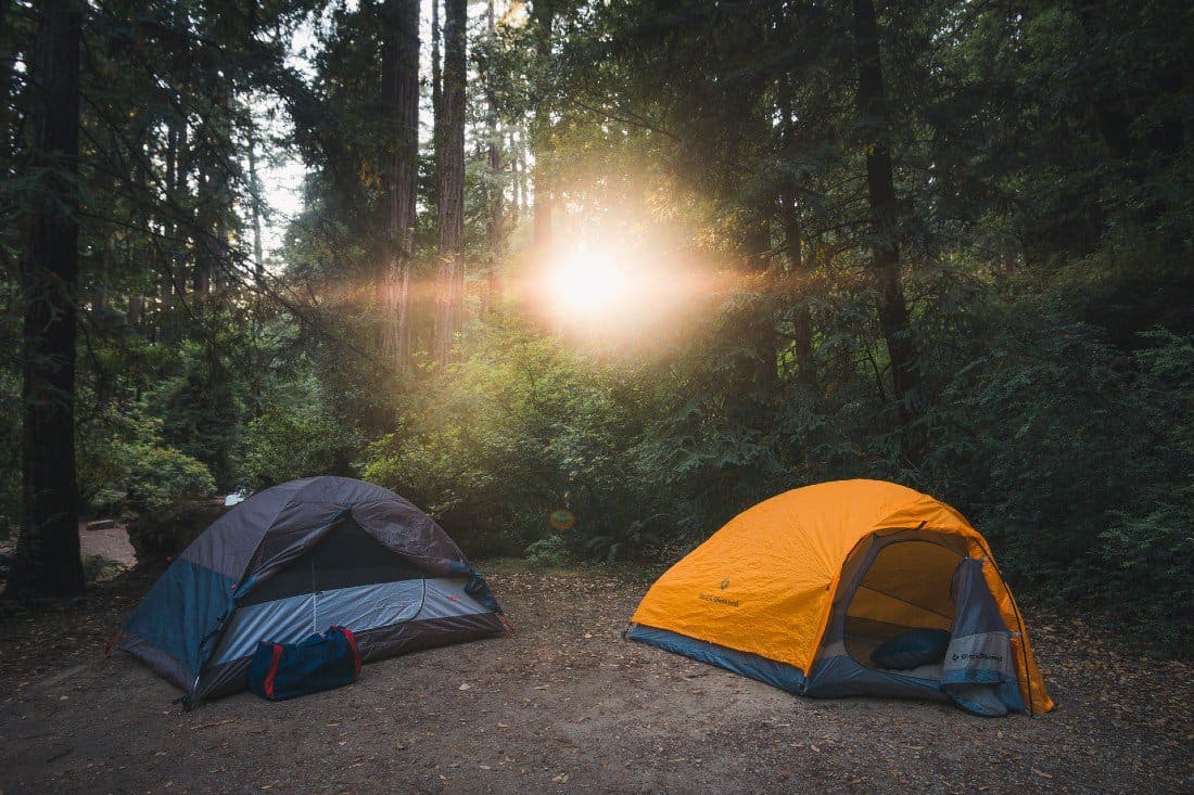 a pair of tents in a shadow of trees in the forest