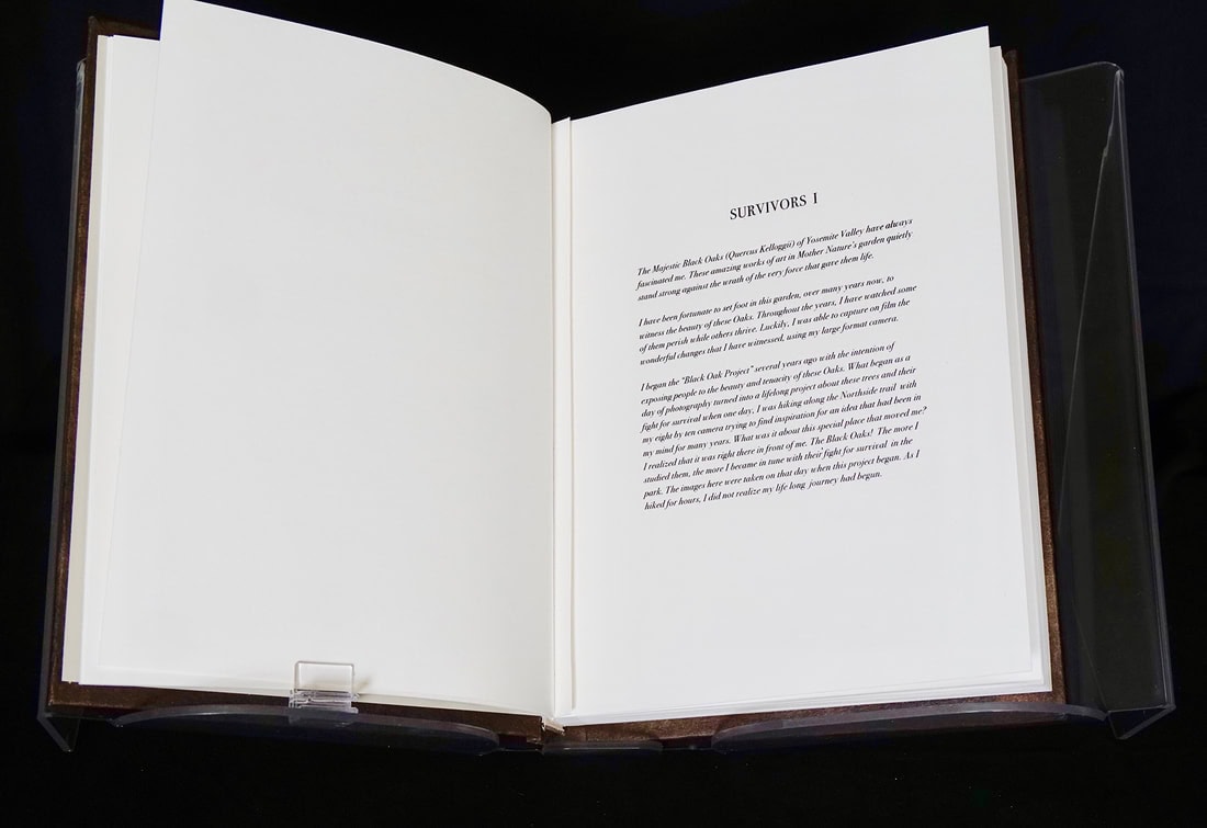 5-book-my-introduction-web_orig
