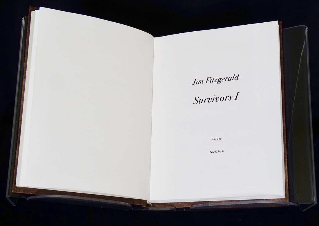 3-book-survivor-page-2-web_orig