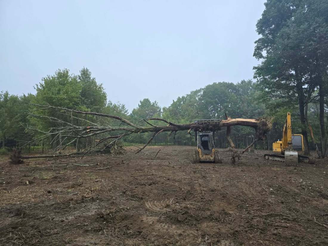 Land Clearing in Jamestown, NY Freshly felled hardwood lying across a cleared lot near Jamestown, NY, with a track loader and excavator working behind it