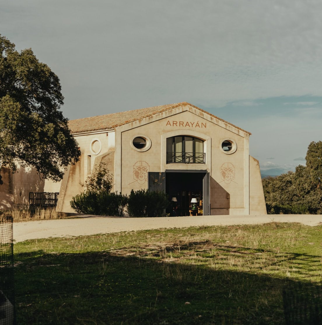 Bodega verdosa