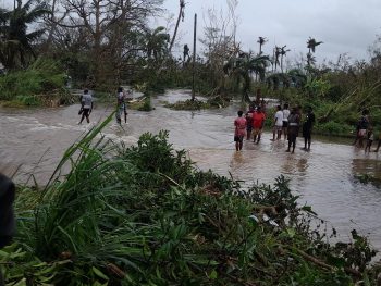 Community members in Vanuatu during a flood event with damaged trees and water.