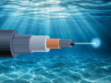 report to strengthen submarine cable resilience