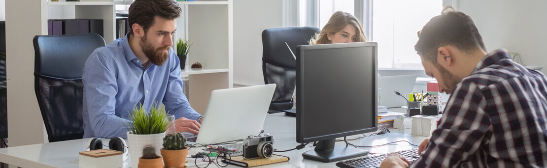 Team working together in the office