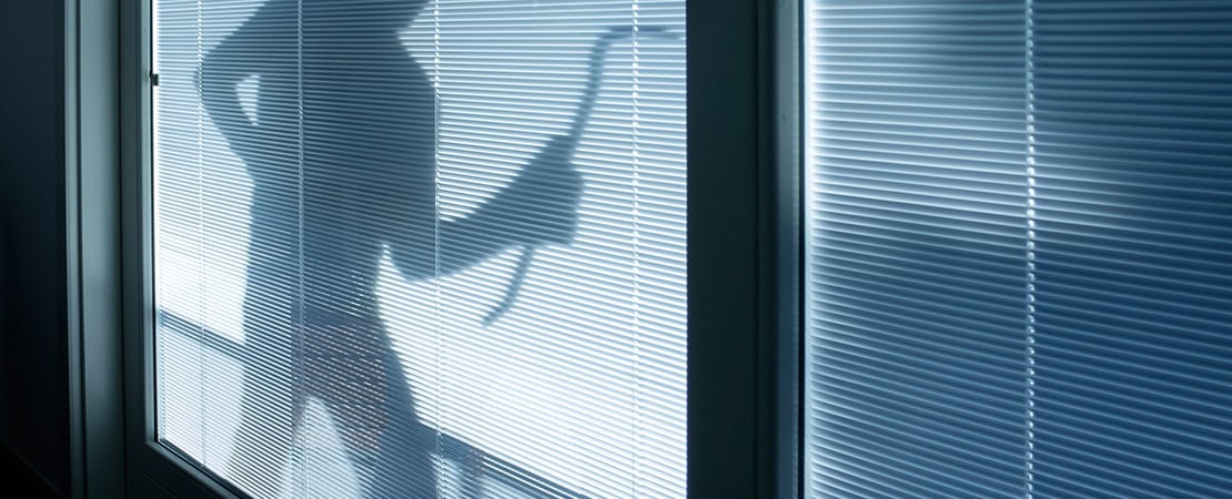 Schatten eines Einbrechers mit Brecheisen hinter Jalousien einer verglasten Tür bei Nacht. Symbolbild für Einbruch.