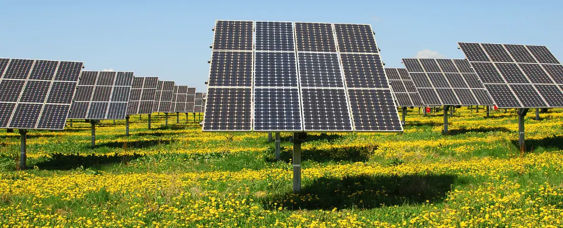 Mehrere Garten-Solaranlagen im Freien, eine Solaranlage im Vordergrund.