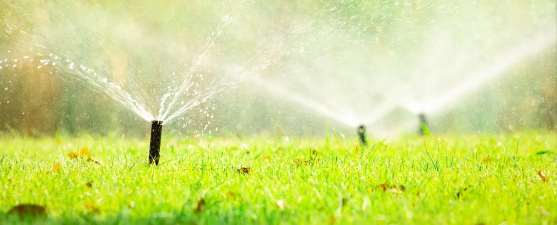 Bewässerung im Sommer