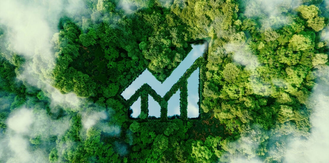 Prato verde con grafico di crescita