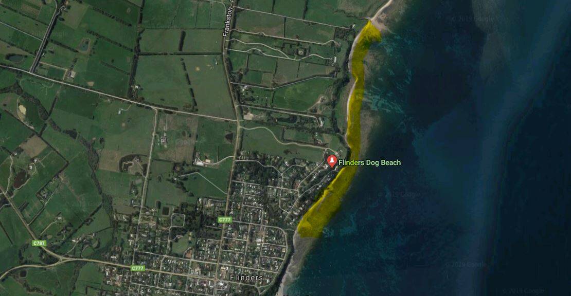 Flinders Dog Beach - Best dog-friendly beaches in Melbourne and Mornington Peninsula