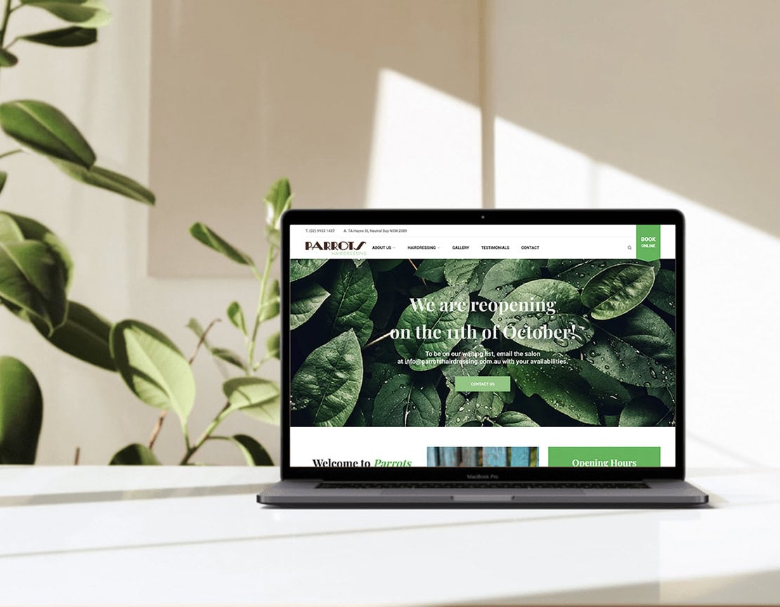 Affordable Website Design Solutions