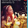 Adobe Photoshop Elements 15.2 for Mac