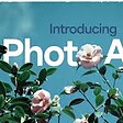 Topaz Photo AI Pro 4.0.1 for Mac