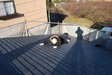 朝の屋根はよくすべる。