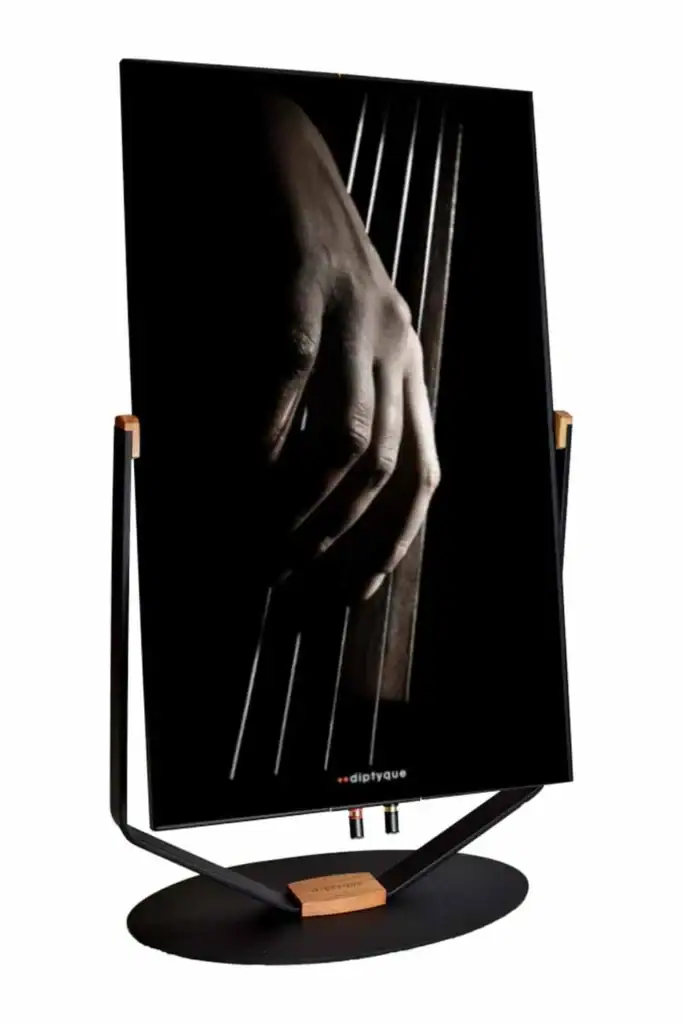 Hi-Fi Pig sur les enceintes Diptyque Audio dp77 03