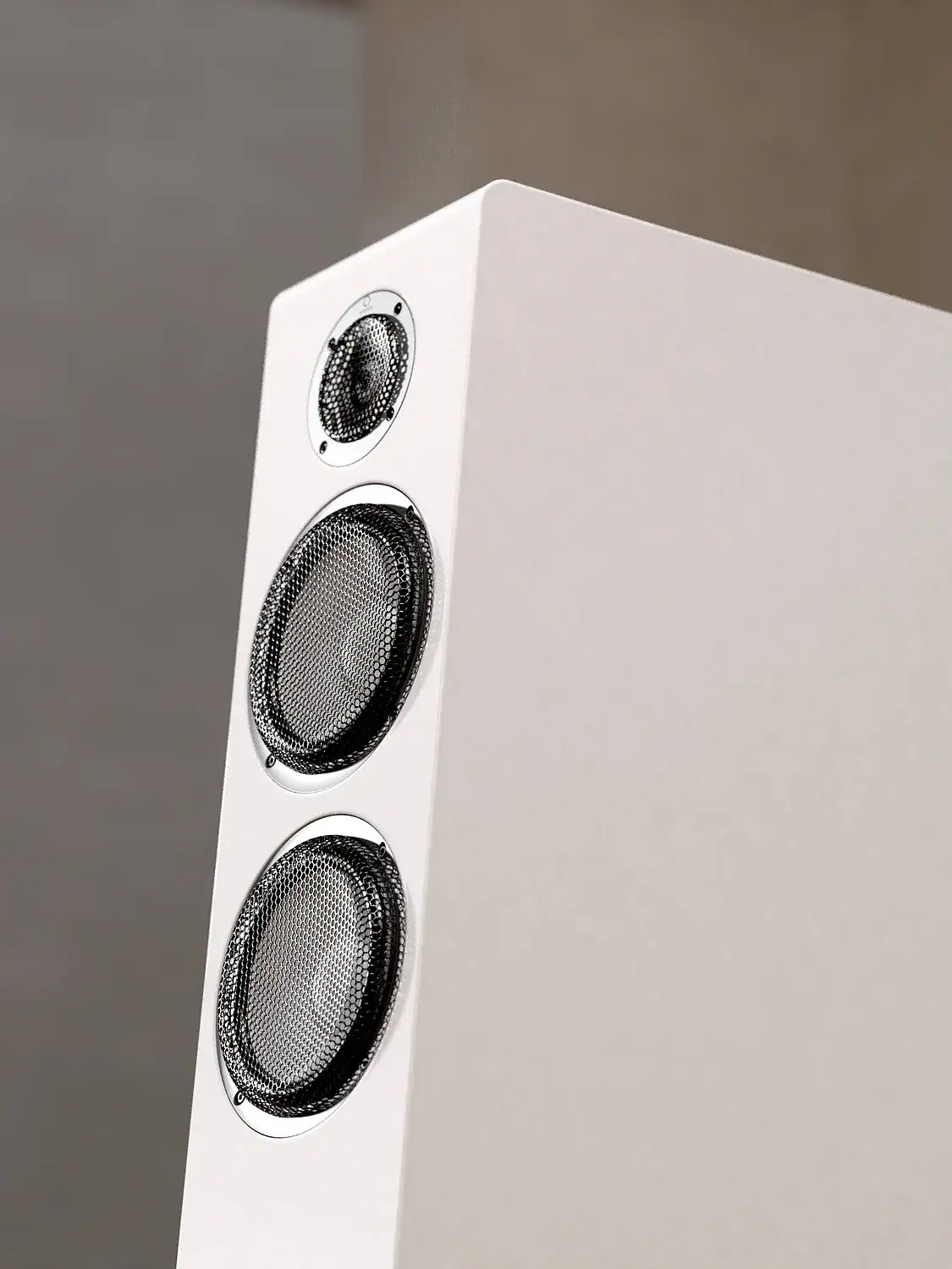 Marten Oscar Trio blanche vue rapprochée depuis la droute