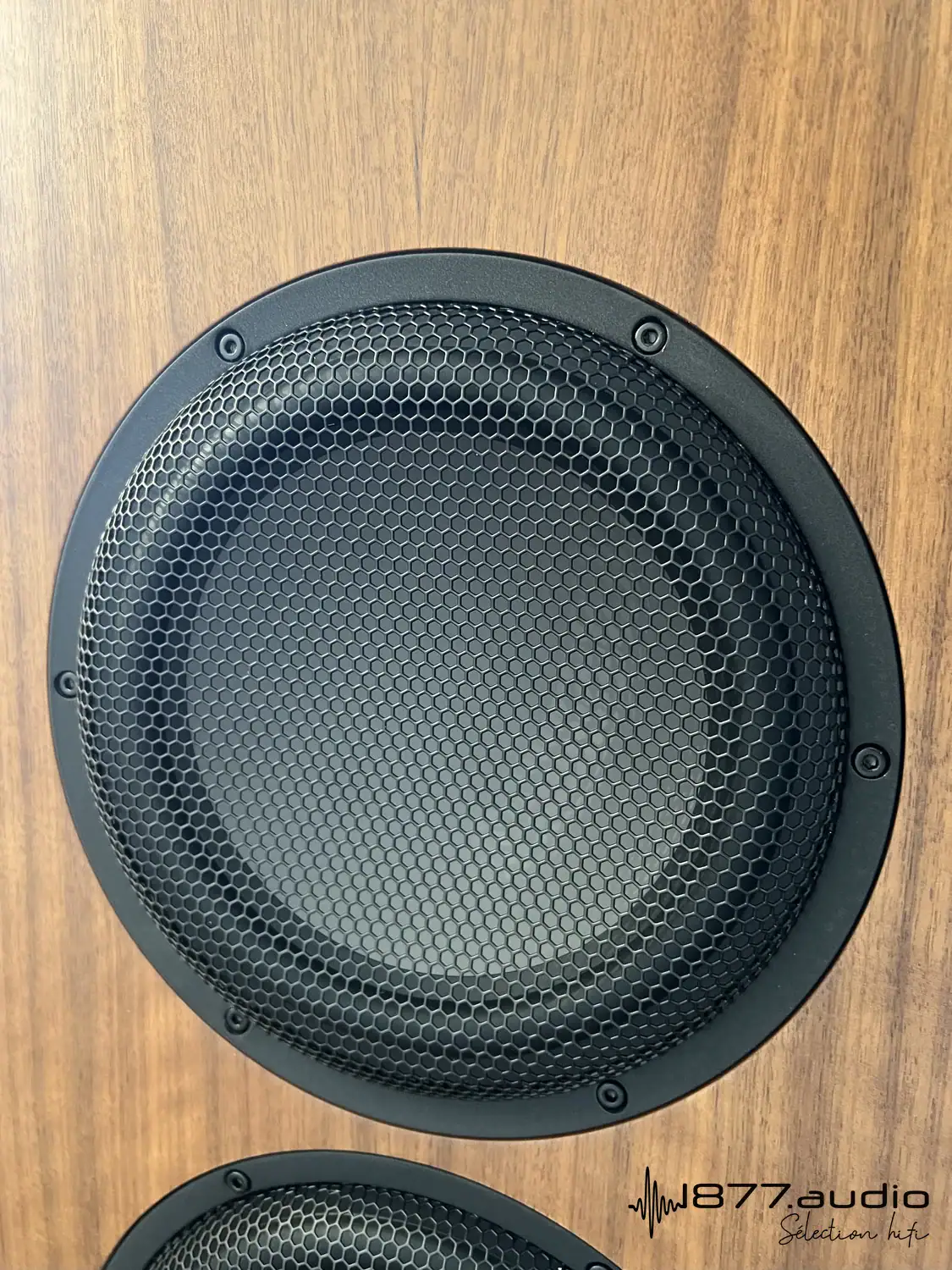 Marten Parker Trio zoom sur un haut-parleur passif à l'arrière