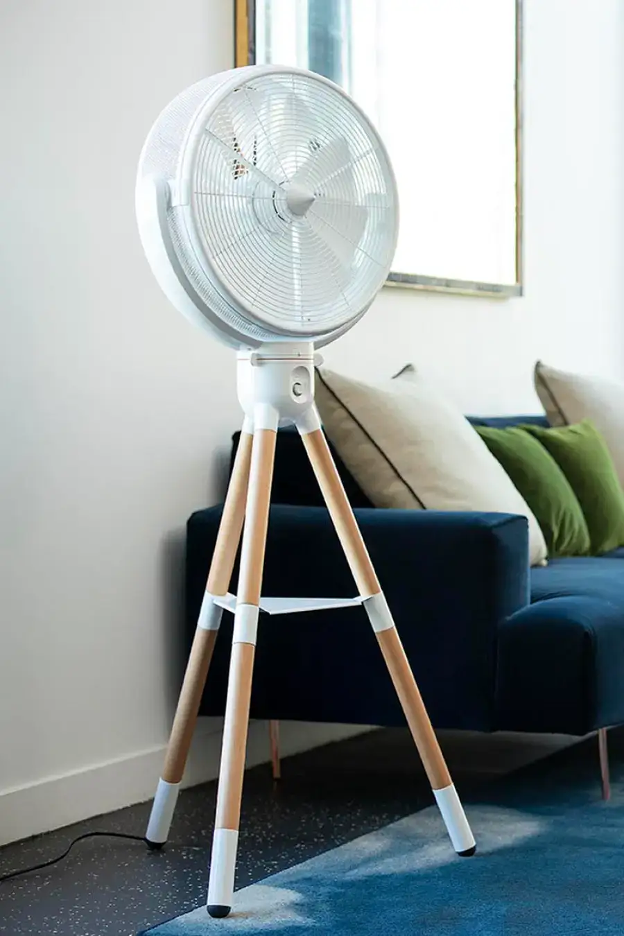 Williwaw installé dans un salon