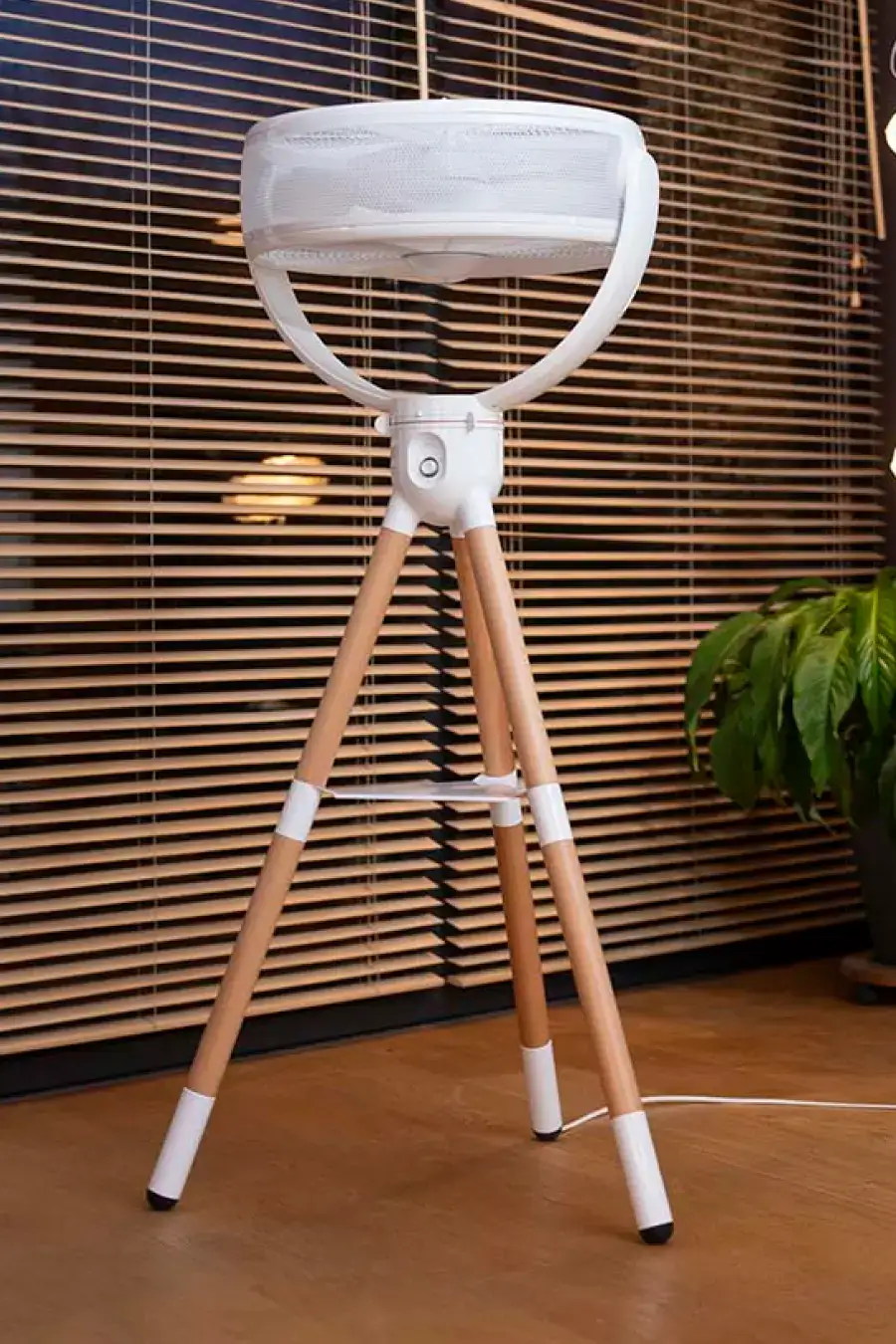 Williwaw installé dans un bureau