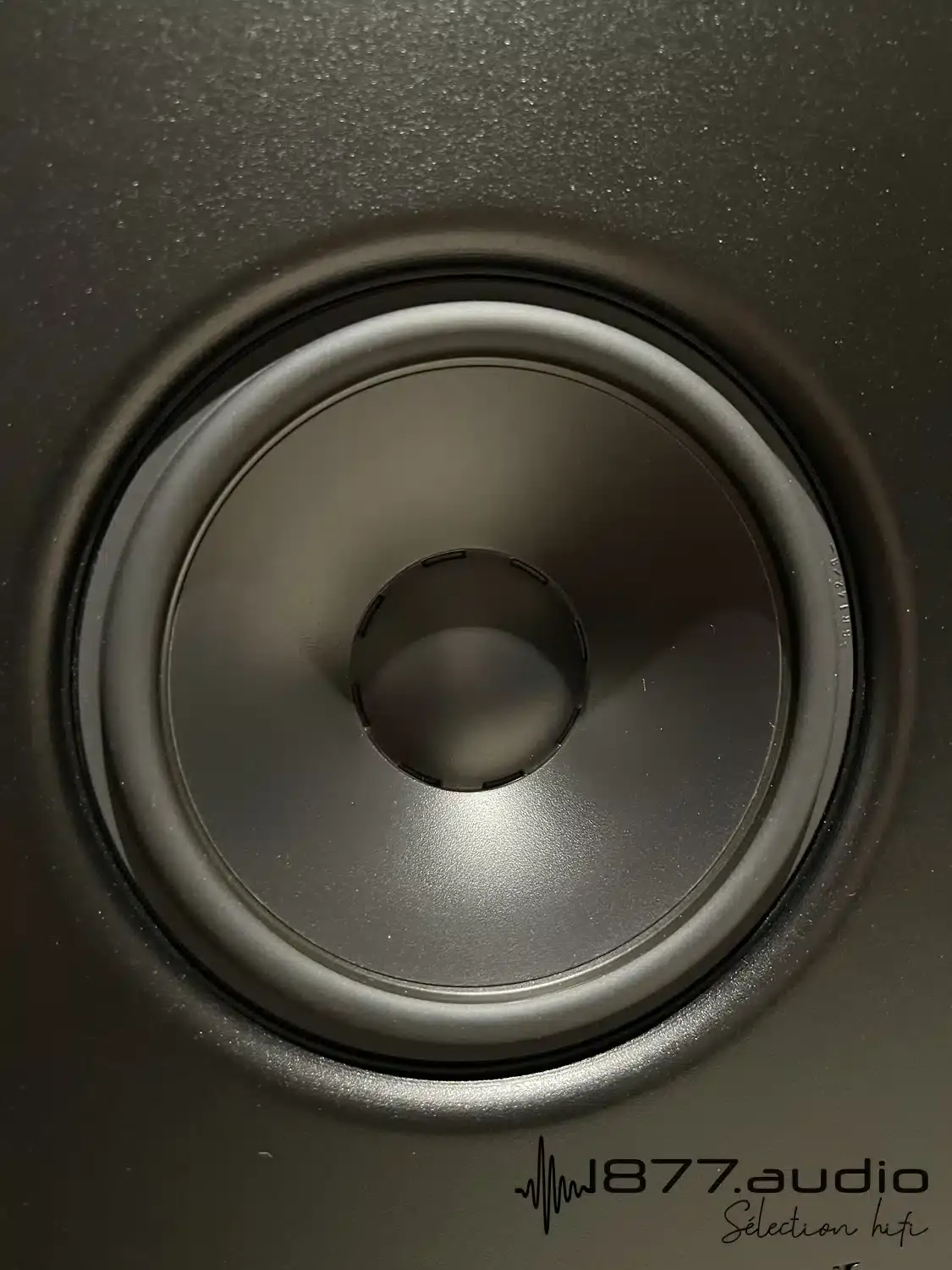 Verity Audio Florestan zoom sur le médium